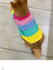 Puppy Knitted Rainbow Sweater